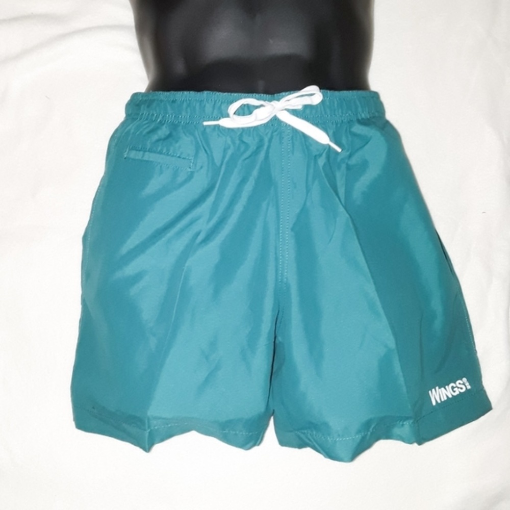 Men's Wings Solid Teal Swim Trunks Shorts